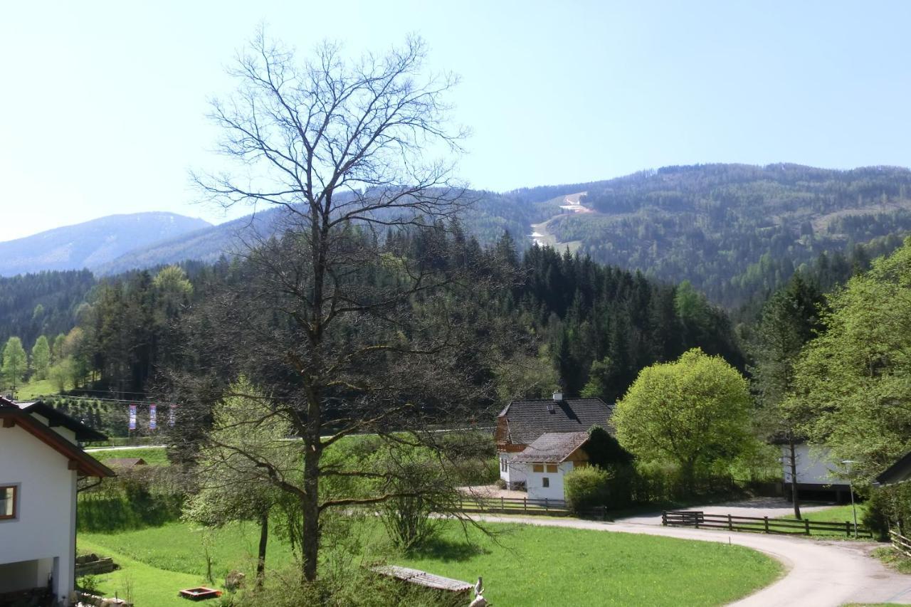 Hotel Garni Landhaus Buertlmair Hinterstoder Εξωτερικό φωτογραφία